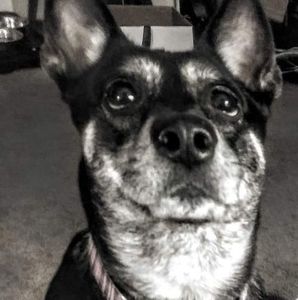 Meet your Posher, Carla